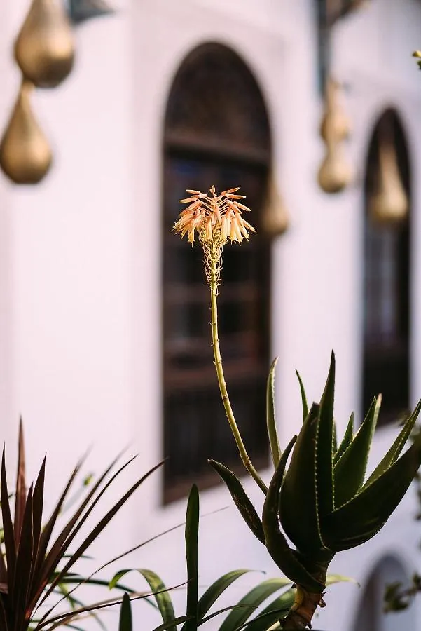 Riad Maison Bleue And Spa Fes 4*,  Morocco